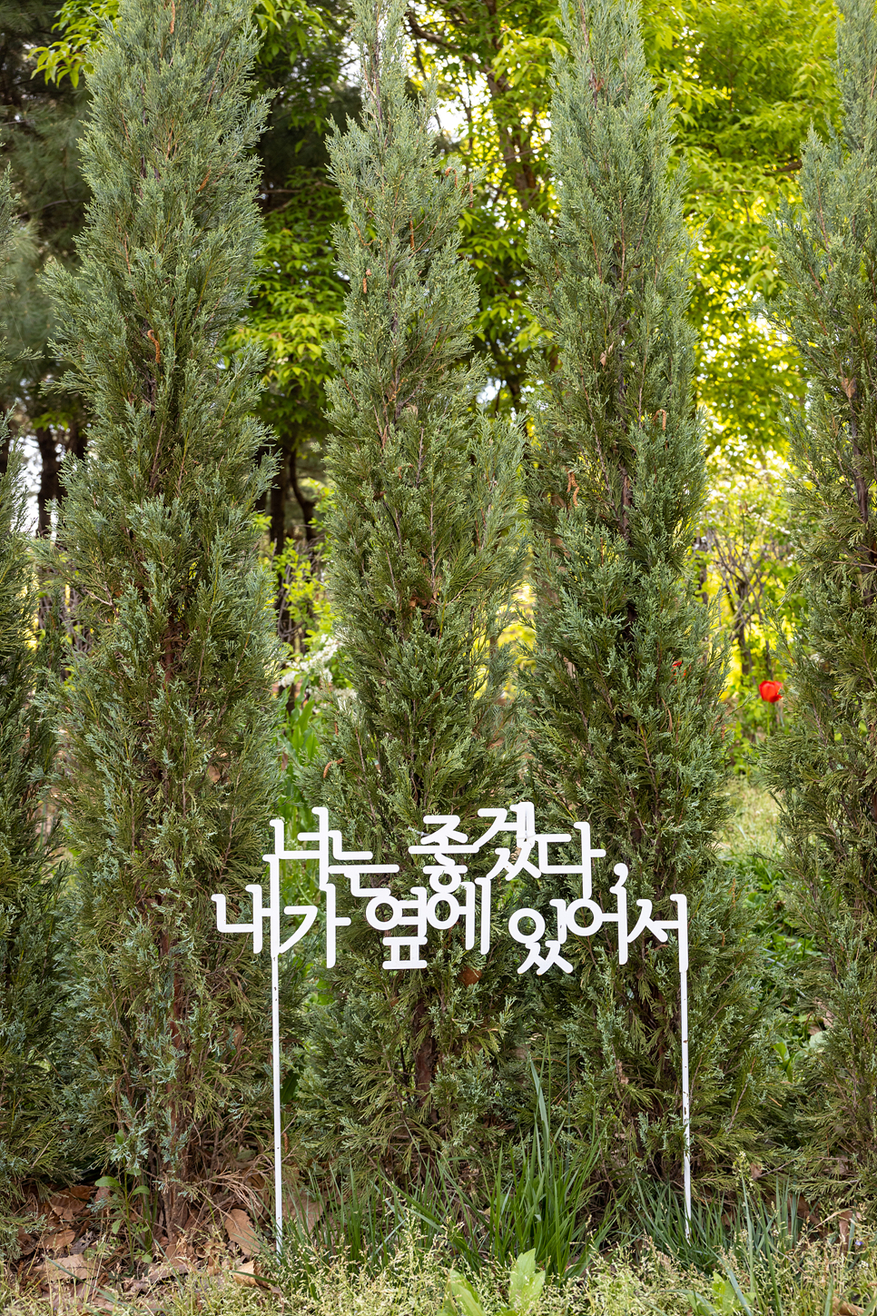 서울 산책하기 좋은곳 서울숲 튤립 꽃구경과 성수동 카페거리