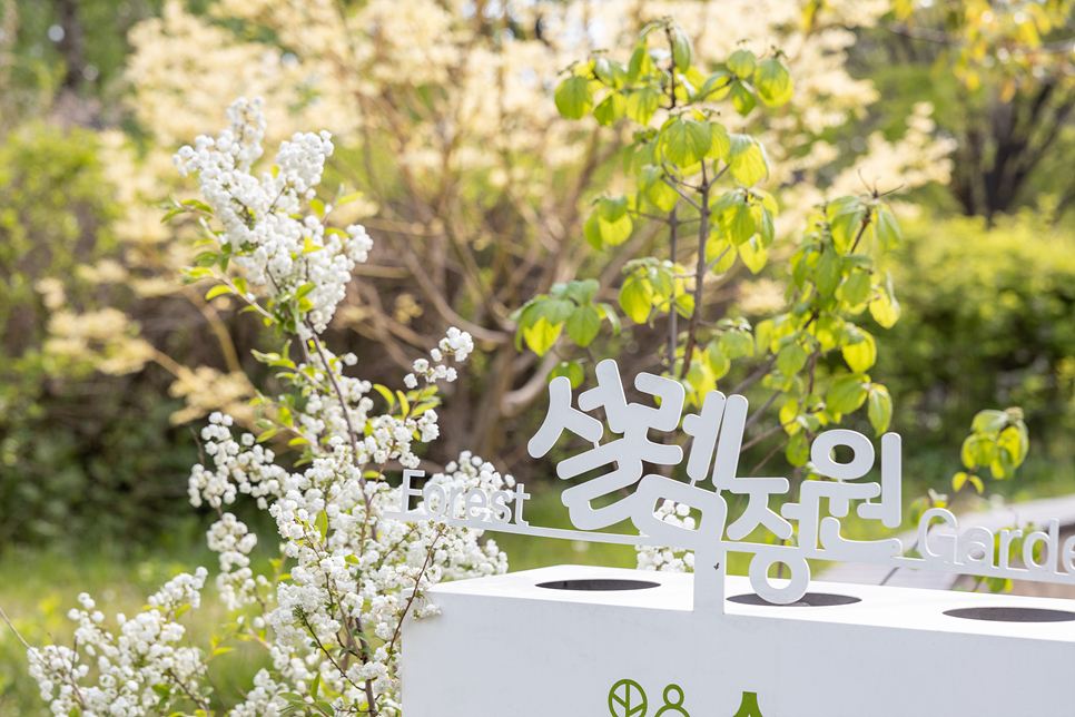 서울 산책하기 좋은곳 서울숲 튤립 꽃구경과 성수동 카페거리