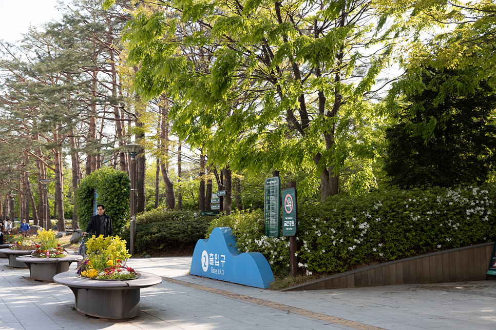 서울 산책하기 좋은곳 서울숲 튤립 꽃구경과 성수동 카페거리