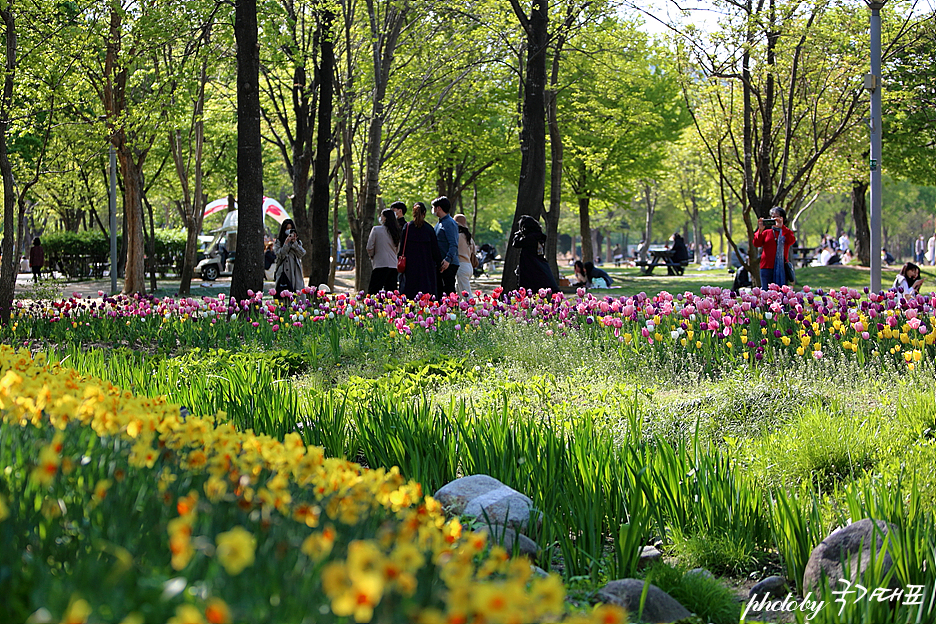 서울 데이트 코스 주말 나들이 갈만한곳 서울숲 튤립 꽃구경