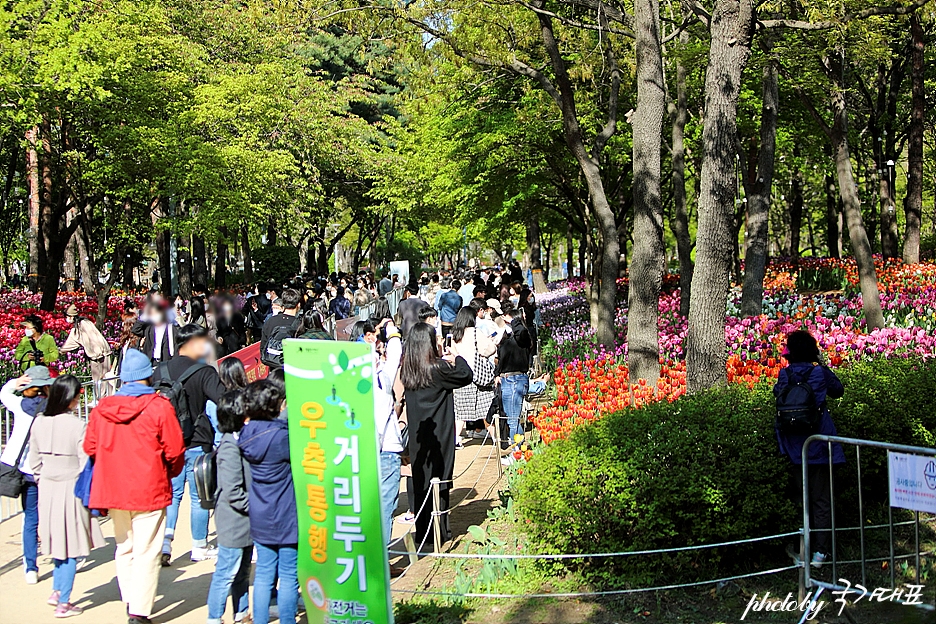 서울 데이트 코스 주말 나들이 갈만한곳 서울숲 튤립 꽃구경