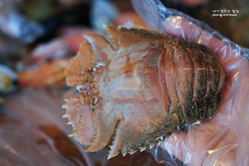 제주 휘닉스 아일랜드 맛집 이국적인 분위기로 먹는 랍스타