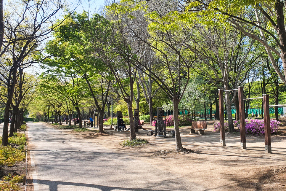 국내 봄 여행지 주말 갈만한곳 서울숲 튤립 구경