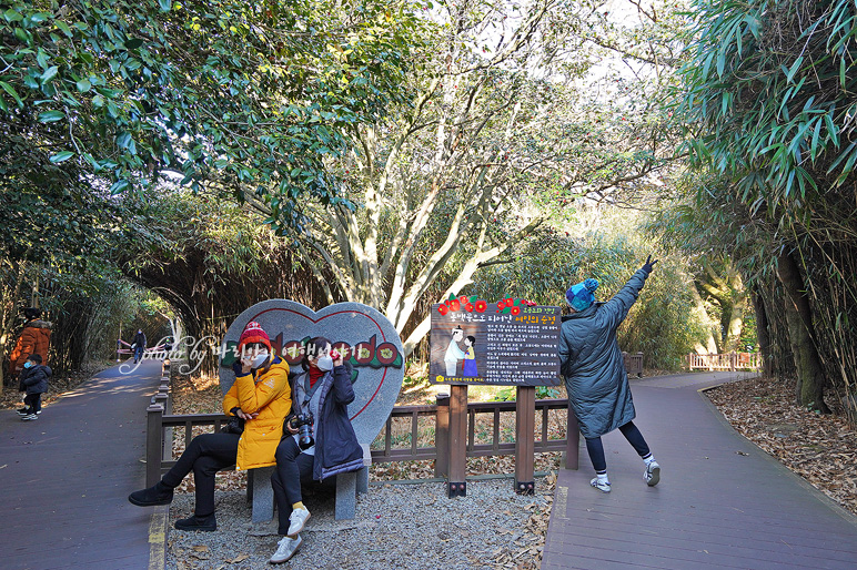 여수 가볼만한곳 아이와 갈만한 유월드 루지 테마파크 놀이공원