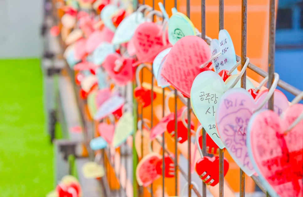 여수여행지 낭만포차거리, 루지, 돌산대교 야경 등 볼거리 놀거리