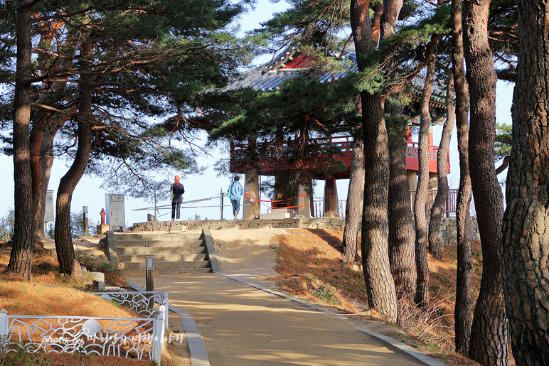 강원도 고성 가볼만한곳 청간정, 아야진항 해수욕장 해변길