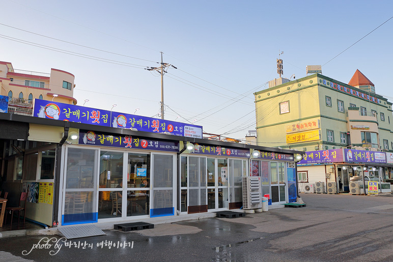 강원도 고성 가볼만한곳 청간정, 아야진항 해수욕장 해변길