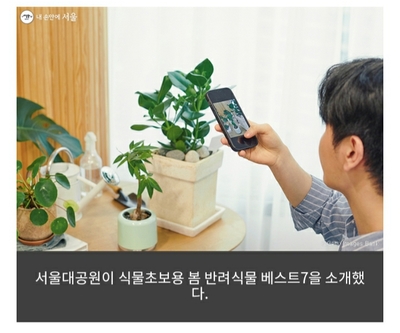 경희애문화 서울시 정보, 우리집 식물은 왜 죽을까? 초보가 키우기 좋은 봄 식물 7
