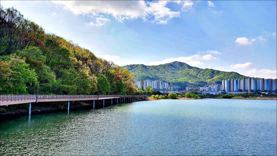 서울 근교 여행 경기도 드라이브 코스 의왕 백운호수!