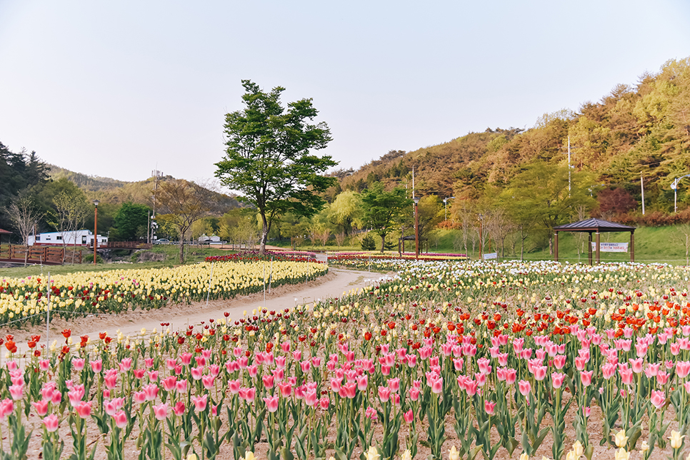 전남 화순 가볼만한곳 운주사 * 4월 튤립보러 광주 근교 나들이