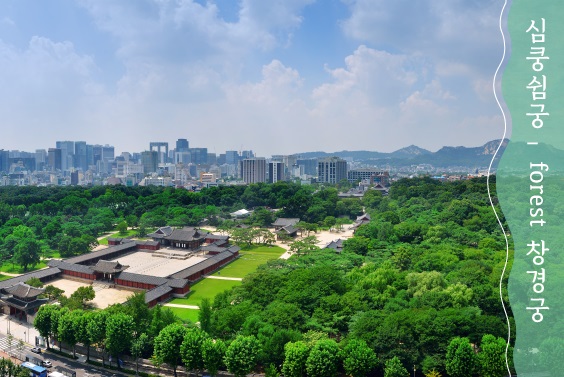 힐링 데이트 경복궁 창덕궁 - 2021년 궁중문화축전