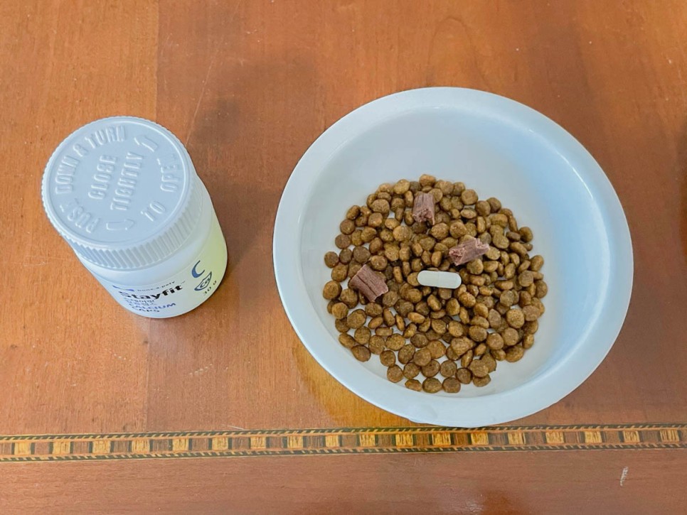 강아지 영양제 강아지 관절영양제 본아페티 칼슘제