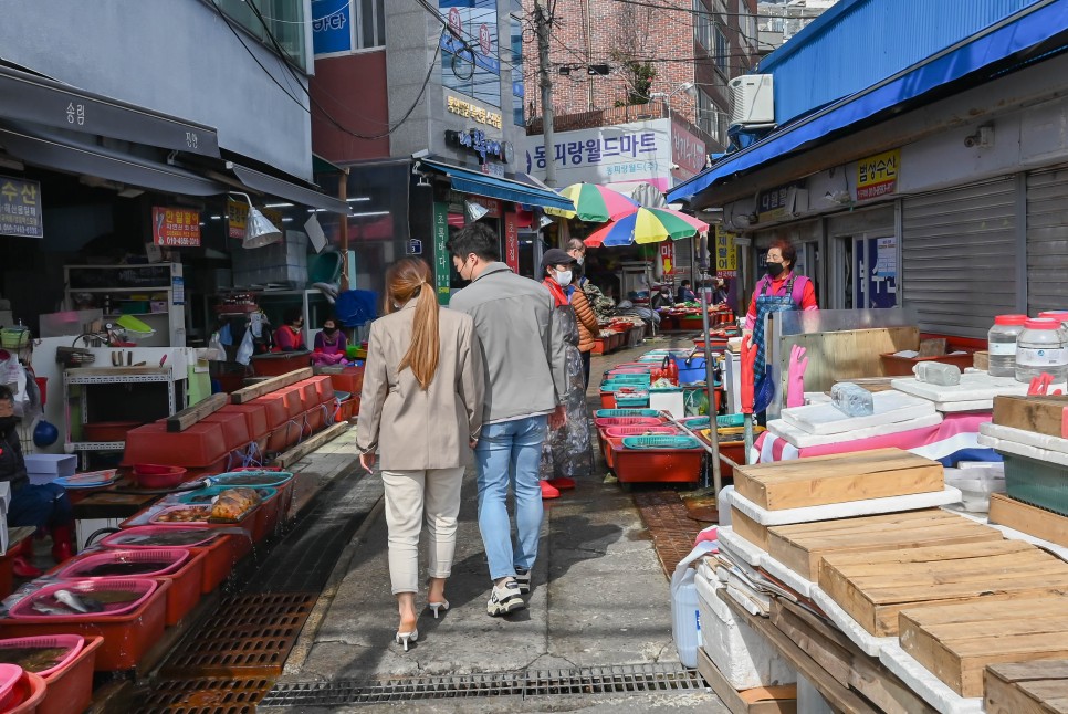 통영 중앙시장 활어시장 먹거리 멍게비빔밥과 회포장