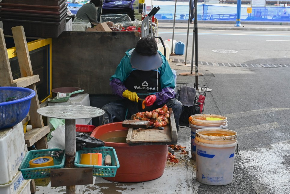 통영 중앙시장 활어시장 먹거리 멍게비빔밥과 회포장