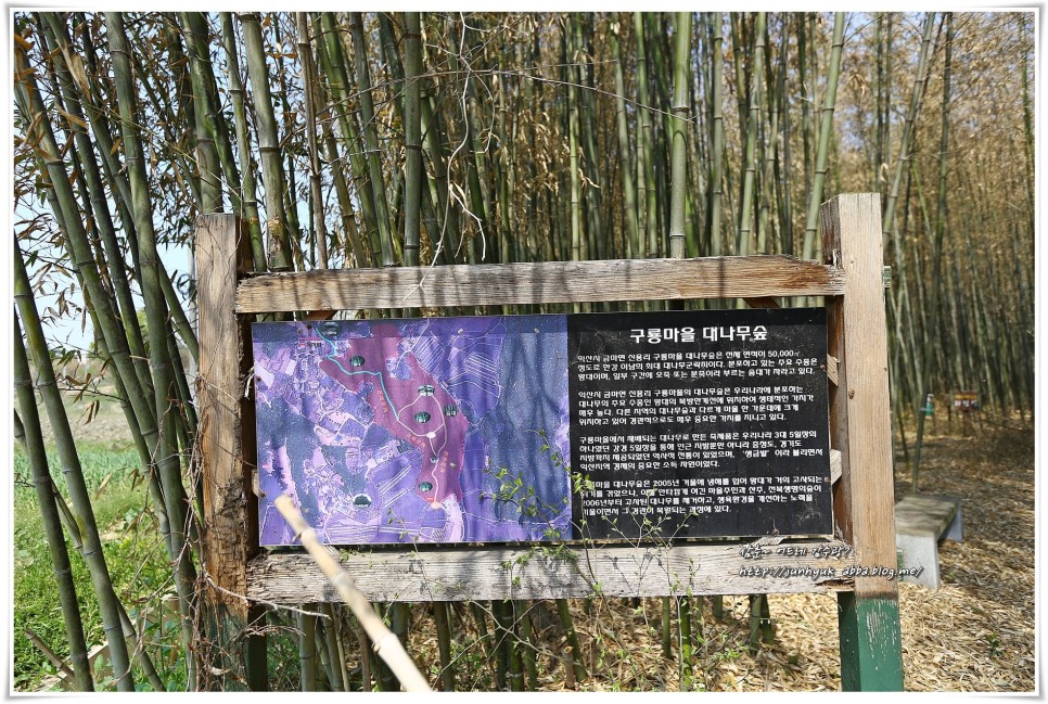 전북 가볼만한곳 익산 구룡마을 대나무숲, 달빛소리수목원, 춘포역