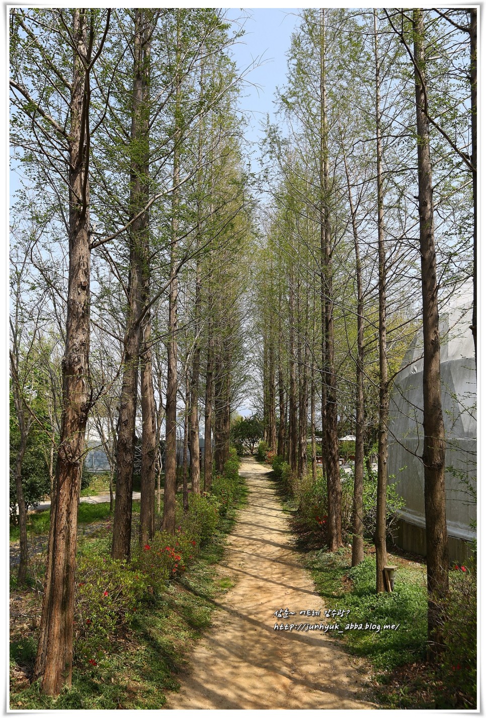 전북 가볼만한곳 익산 구룡마을 대나무숲, 달빛소리수목원, 춘포역