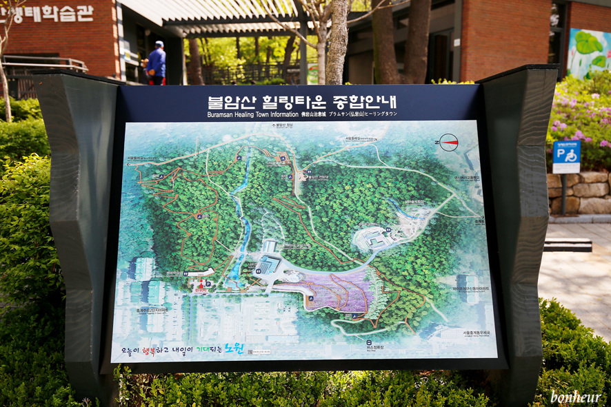 서울 가볼만한곳 철쭉 만발 불암산 나비정원 주차정보와 개화상황