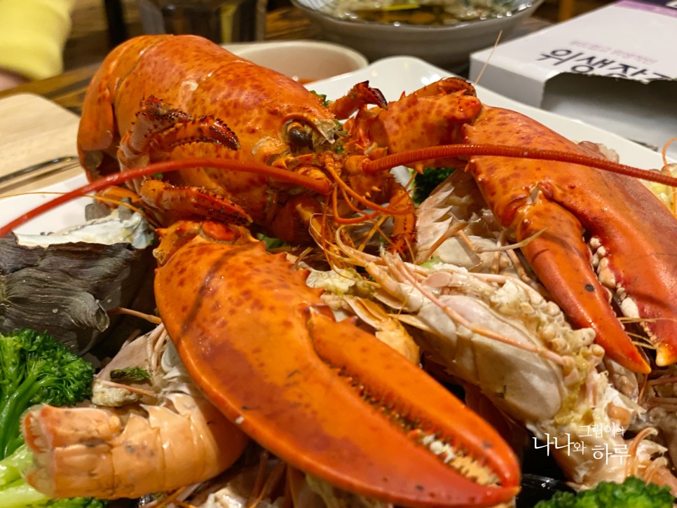 제주공항맛집 크랩팟테우 오동통 랍스터 푸짐해