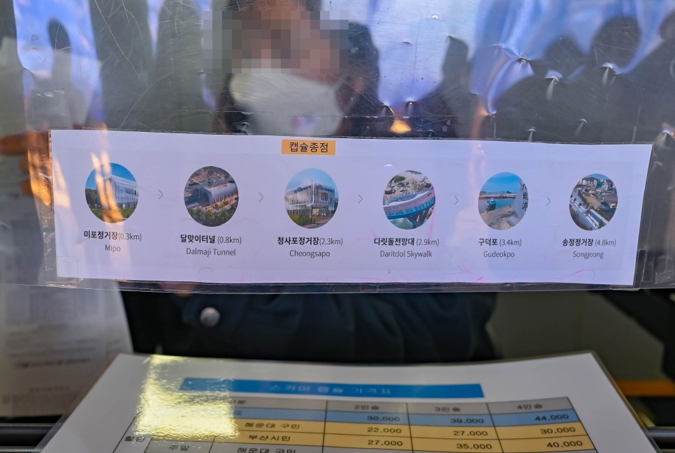 부산 해운대 블루라인파크 스카이캡슐 타고 청사포다릿돌전망대 올땐 해변열차