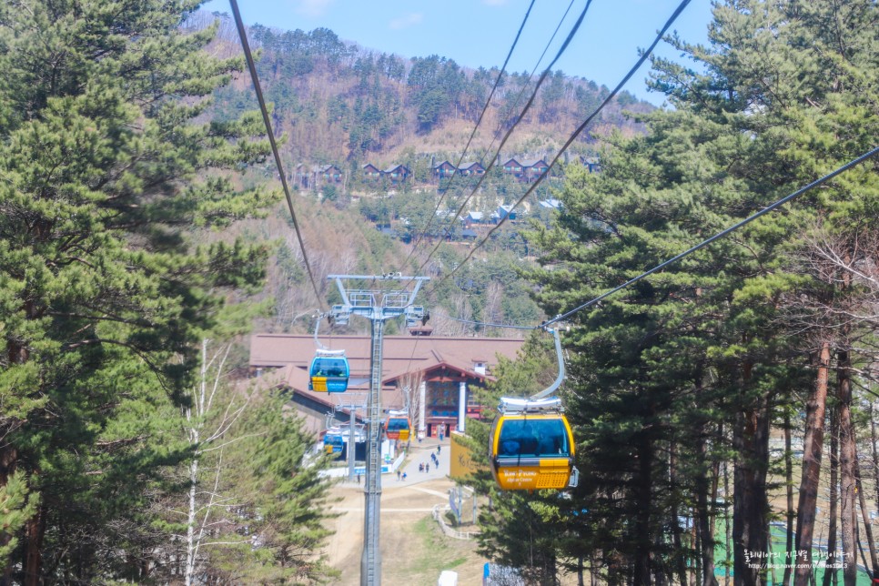 강원도 가볼만한곳 평창 발왕산 케이블카 & 스카이워크 요금 할인 팁!