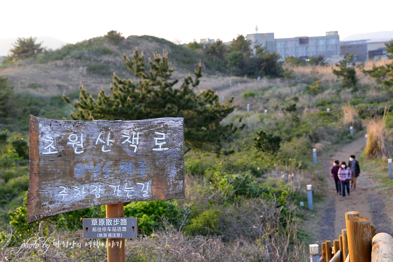 제주도 관광지 제주 서귀포 섭지코지 광치기해변 바다 산책~