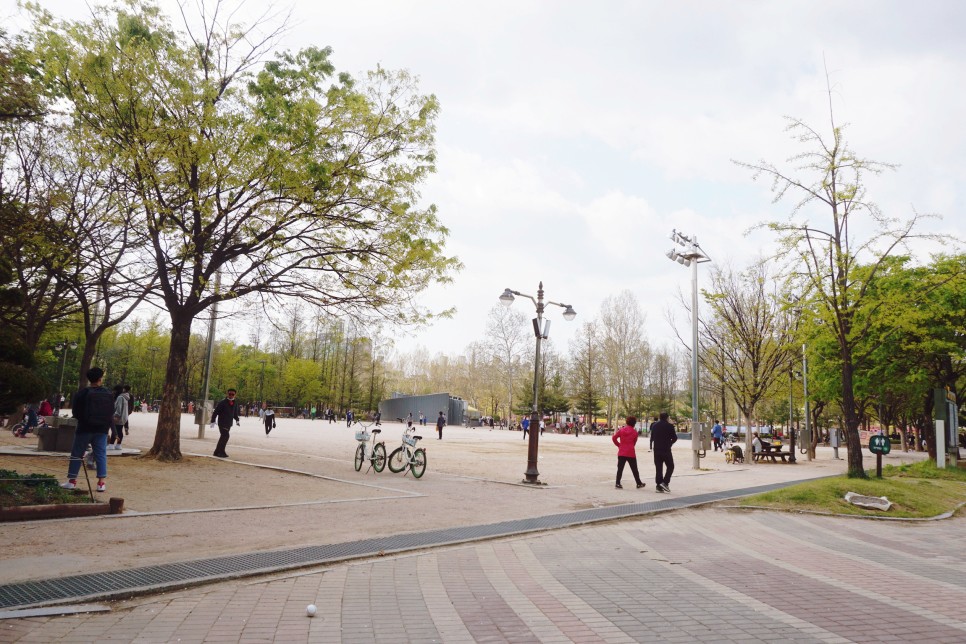 서울 놀러 갈만한곳 겹벚꽃 명소 보라매공원에서 꽃구경 튤립까지