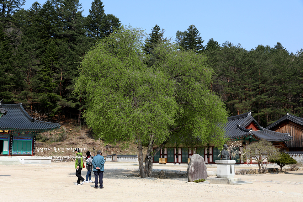 강원도 가볼만한곳 인제 백담사 전국유명사찰