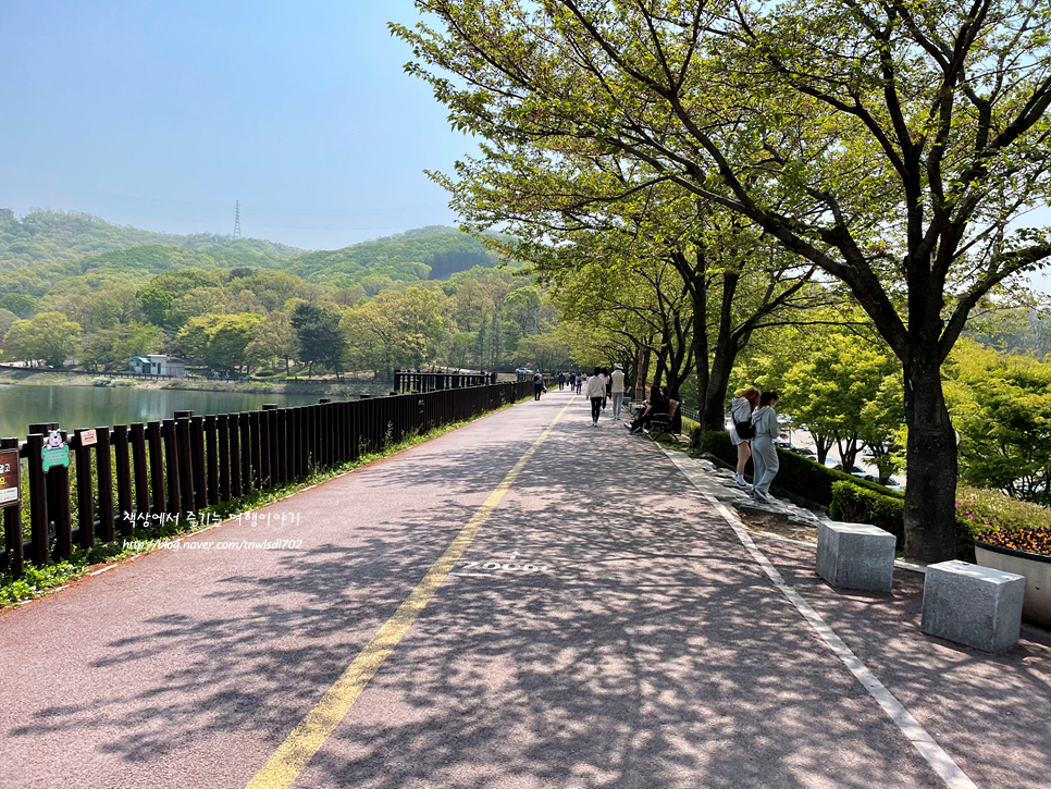 4월 5월 분당 가볼만한곳 율동공원 호수,책테마파크