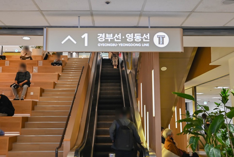 서울 꽃시장 강남고속버스터미널 영업시간, 알뜰 구매 꿀팁