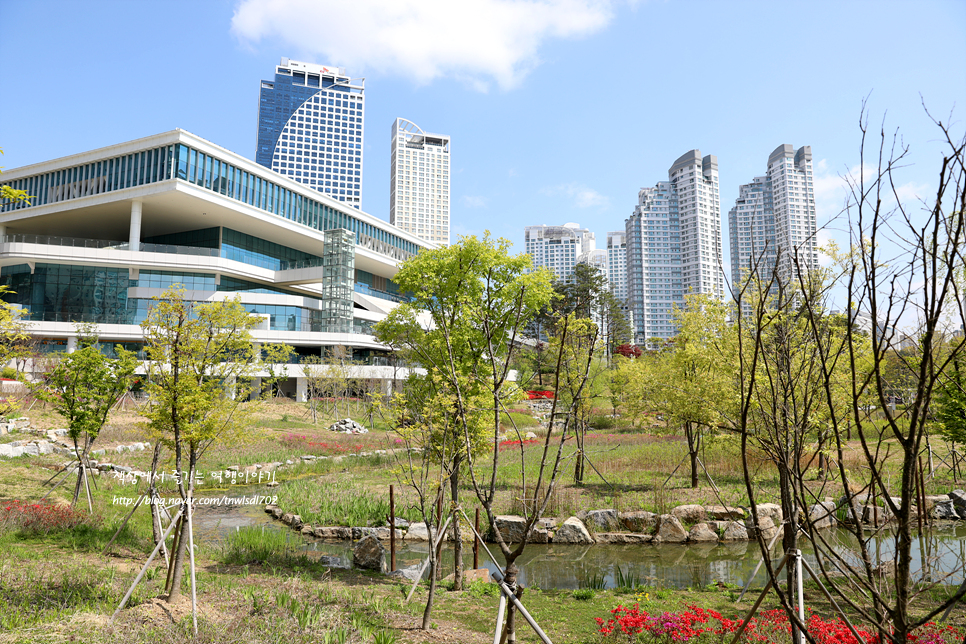 수원 광교 가볼만한곳 호수공원