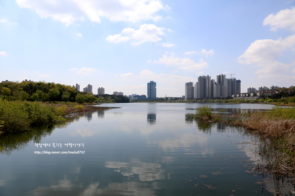 수원 광교 가볼만한곳 호수공원