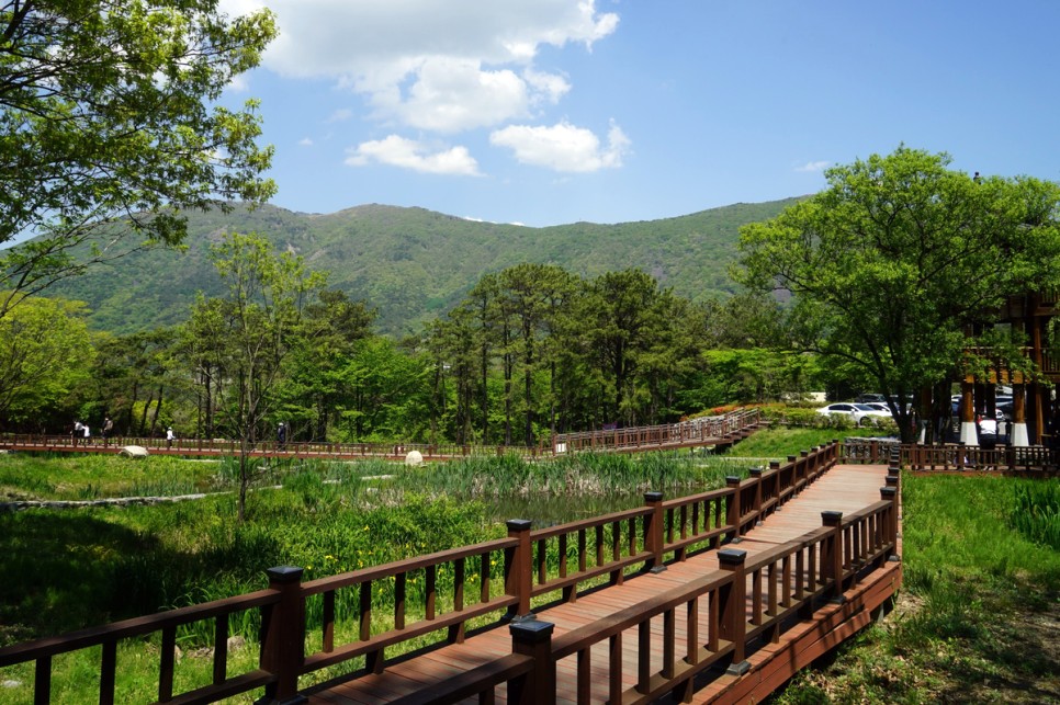 전남여행지 추천 화순 가볼만한곳 BEST 10 수만리 철쭉, 캠핑장 등