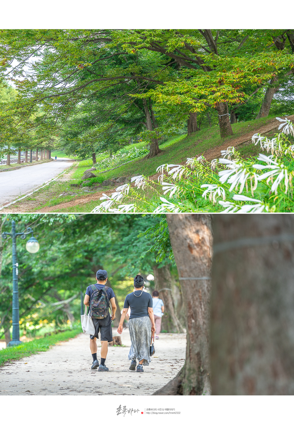 담양 가볼만한곳 담양 여행코스 죽녹원 포함