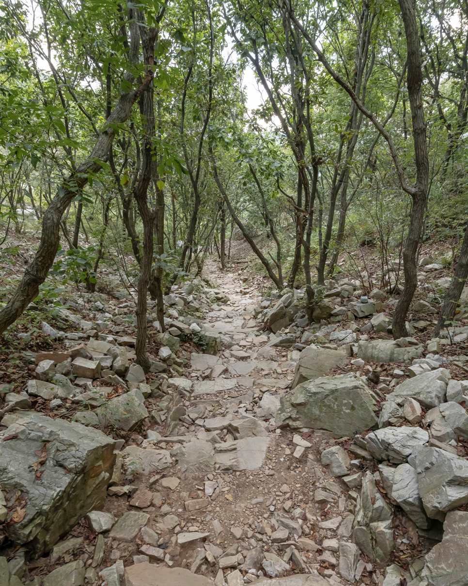 서산 가볼만한곳  황금산 코끼리바위, 몽돌해변 호주인 줄!