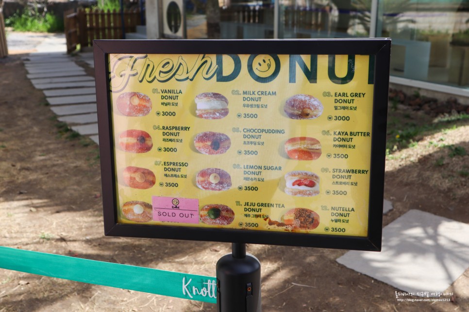 제주도 도넛 랜디스 vs 제주 노티드 도넛 승자는?