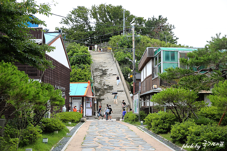 포항 여행 코스 경상북도수목원 경북 가볼만한곳