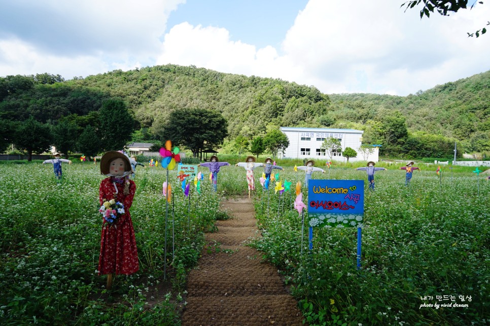 의성 가볼만한곳 대곡사에서 사촌전통마을까지 알찬 당일치기코스