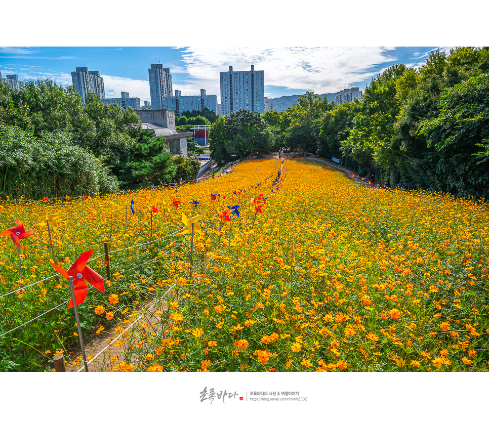 서울 핫플레이스 올림픽공원 들꽃마루 서울 구경