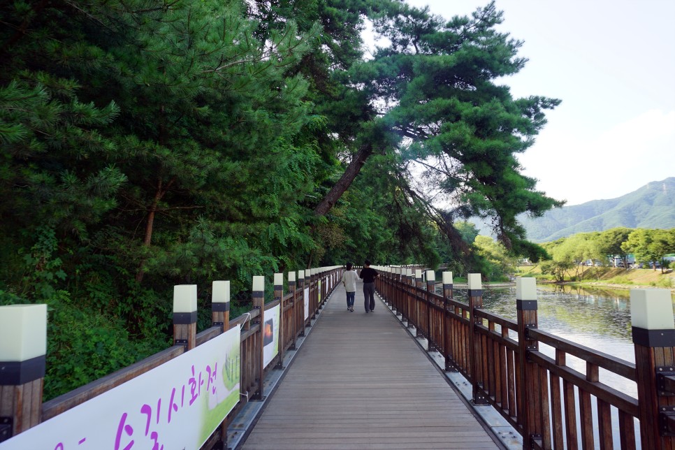 제천 가볼만한곳 의림지, 비봉산 전망대 포함 가을 여행지 5선