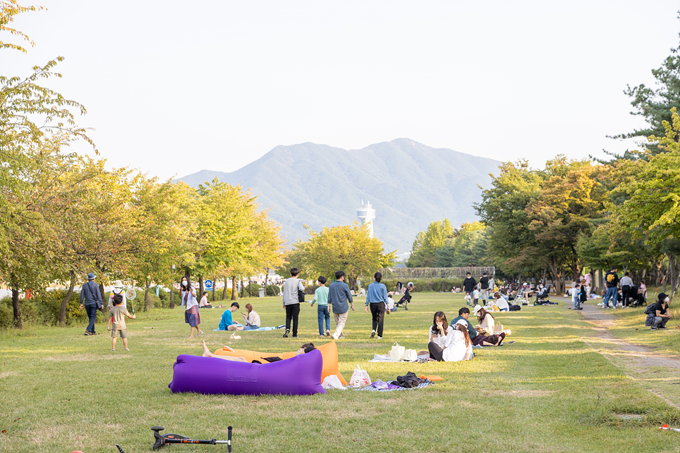 서울근교 핑크뮬리 하남 미사경정공원(미사리 조정경기장) 피크닉+배달