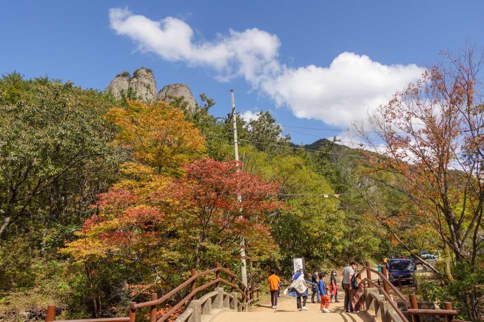 청송 가볼만한곳 청송여행 가을 단풍명소 주산지 주왕산 국립공원
