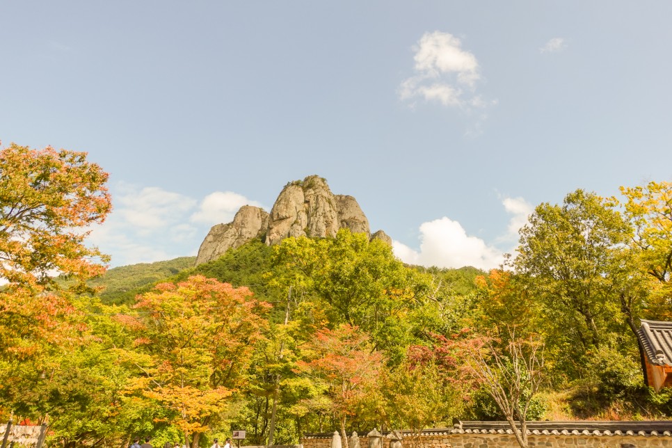 청송 가볼만한곳 청송여행 가을 단풍명소 주산지 주왕산 국립공원