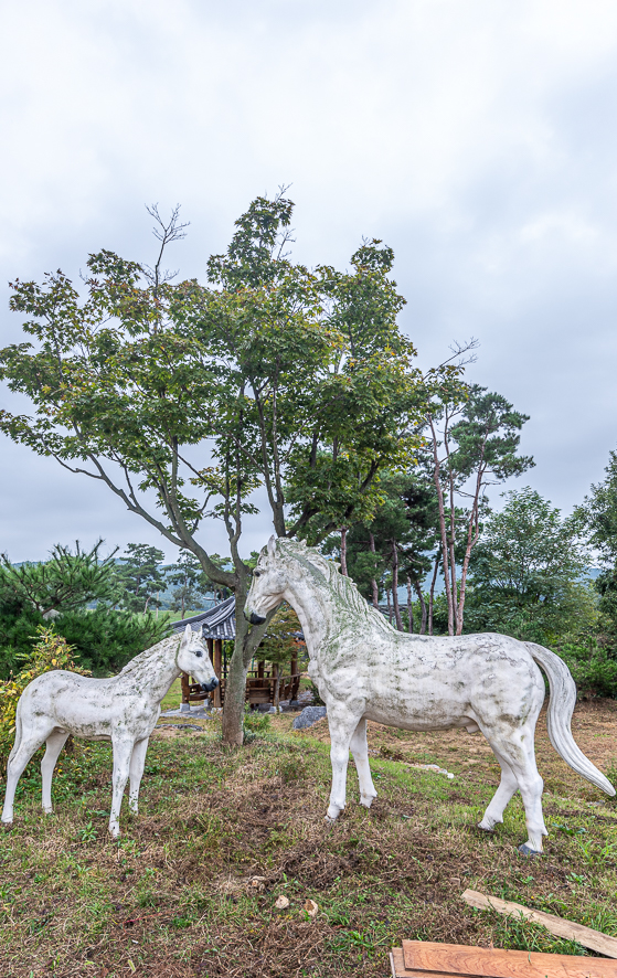 충청도 여행 충북 청주 근교 나들이 괴산 백마권역 농촌체험