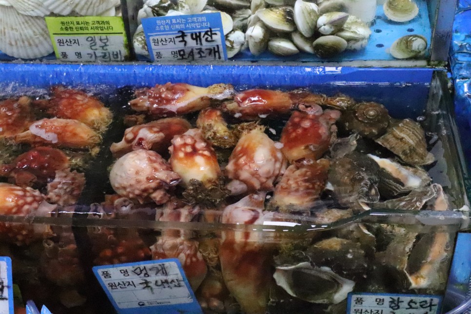 출중했던 노량진수산시장 킹크랩 맛집