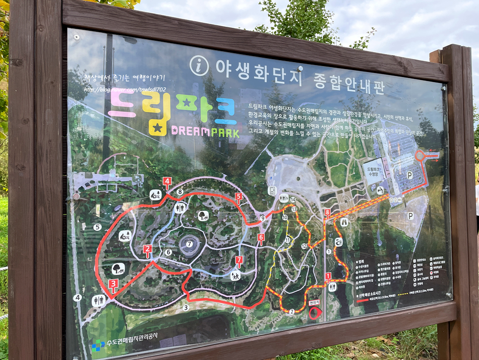 지금 가볼만한곳 인천 드림파크야생화단지 꽃구경 볼거리