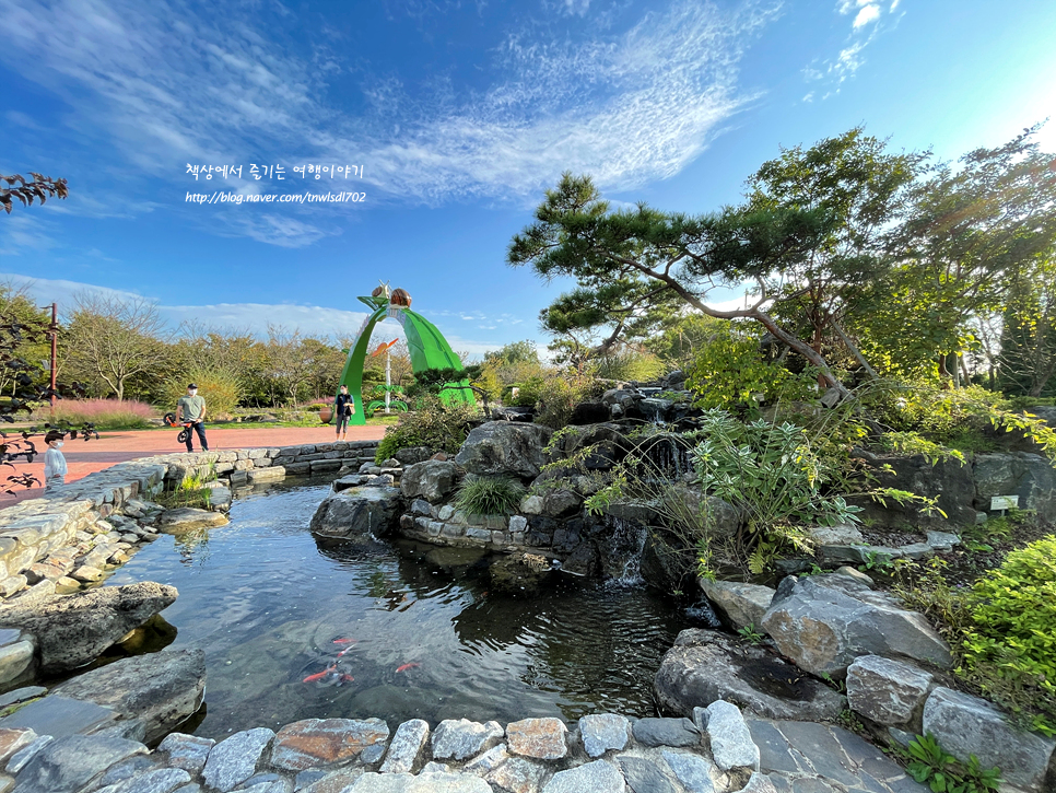 지금 가볼만한곳 인천 드림파크야생화단지 꽃구경 볼거리