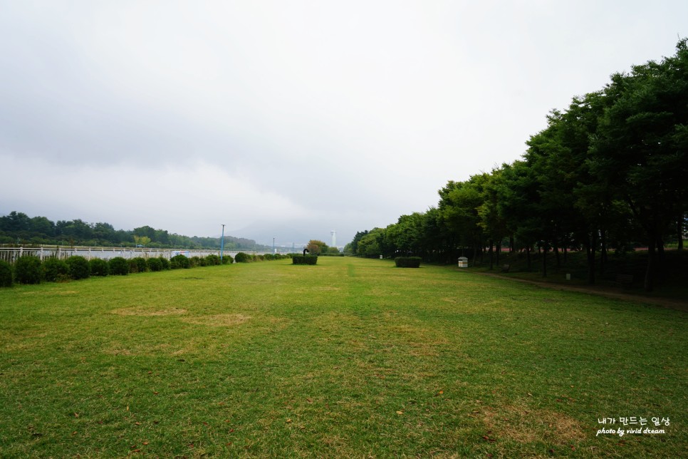 하남 가볼만한곳 핑크뮬리 있는 미사경정공원(미사조정경기장)