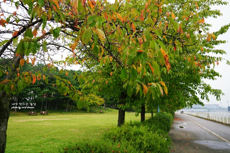 하남 가볼만한곳 핑크뮬리 있는 미사경정공원(미사조정경기장)