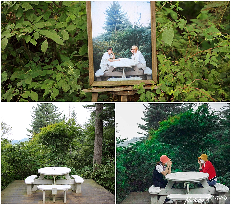 서울근교 데이트 코스 양평 서후리숲 자작나무 코로나 가을 여행지
