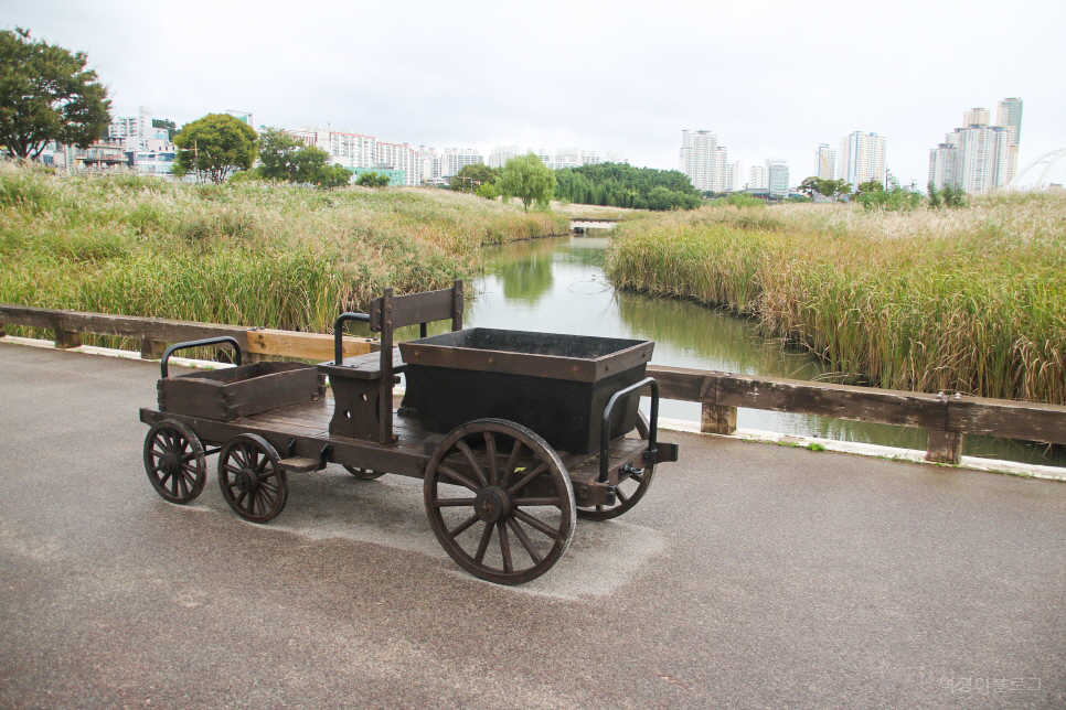 울산 여행 가볼만한곳 태화강국가정원 십리대숲 까지